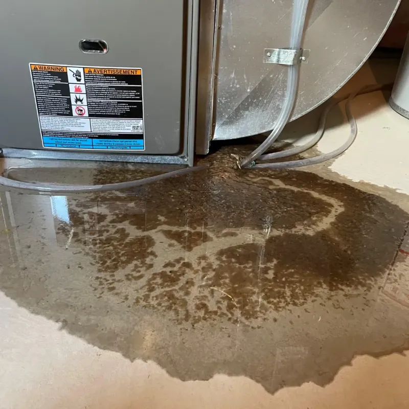 Appliance Leak Cleanup in Wilmer, TX